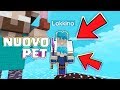 LOKKINO IL NUOVO PET DEL MIO SERVER !! Minecraft ITA SkyPrison #5