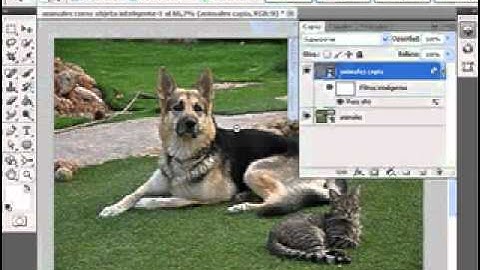 photoshop cs5 enfocar una imagen www.videotutoriales.es