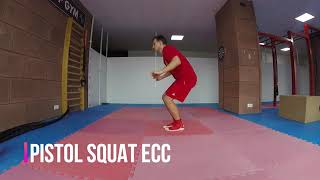 PISTOL SQUAT ECC - Top Gym