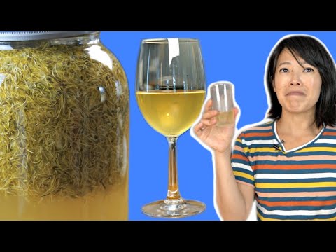 Video: Homemade Dandelion Wine