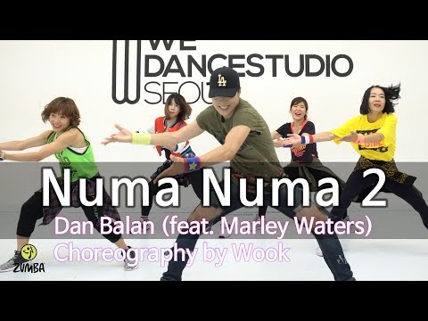 Numa Numa 2 - Dan Balan (feat. Marley Waters) / Dance Fitness Choreography / Wook's Zumba® Story