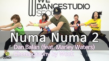 Numa Numa 2 - Dan Balan (feat. Marley Waters) / Dance Fitness Choreography / Wook