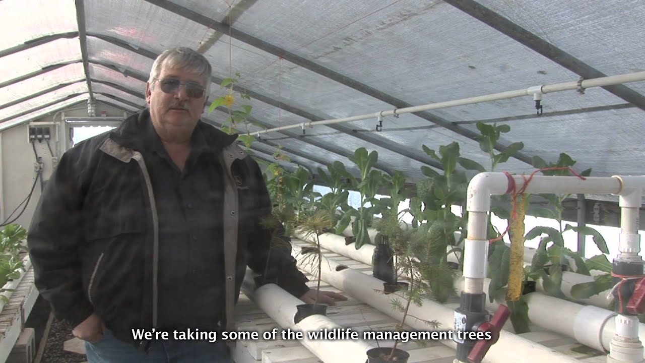 u.s. virgin islands Inmates help conserve habitat in New Jersey