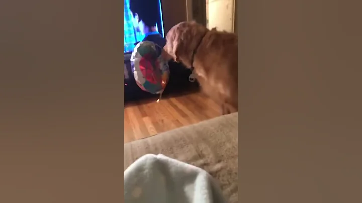 Chance vs the balloon