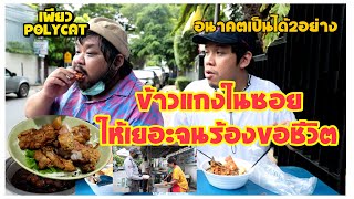 ร้านข้าวแกงลับให้เยอะจนต้องร้องขอชีวิต!!!(ร้านเด็ดจารเพียว Polycat)