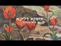 תומר צימרמן עומקא דליבא תומר צימרמן עומקא דליבא
