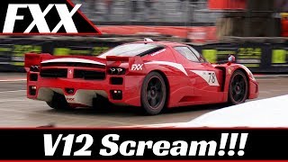 Also at bologna motor show 2017, i think i'll never tire to film the
screaming v12 ferrari fxx. more than 10 years have passed since their
debut but soun...
