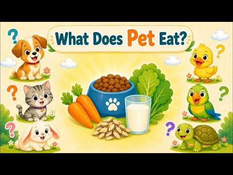 What Do Pets Eat? 🐶 Learn Pet Names & Food for Toddlers | Brainy Bunch