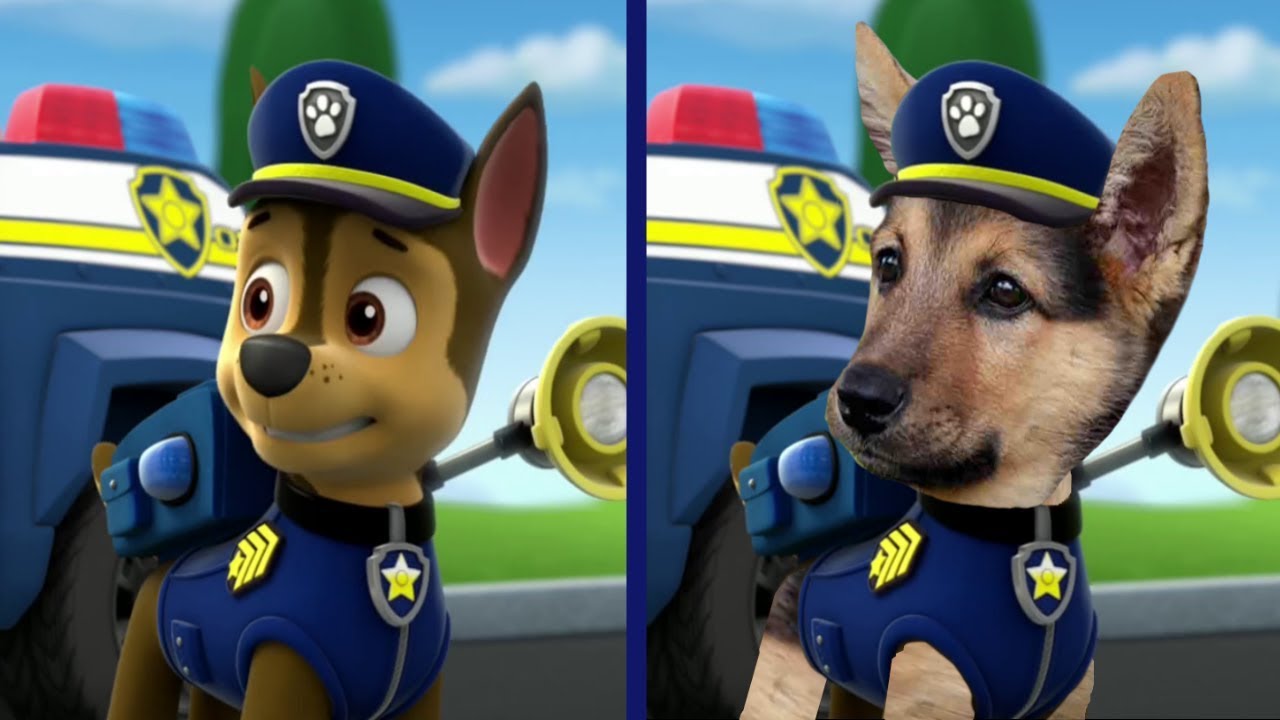 Patrulha Canina Personagens Da Vida Real - YouTube