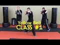 Beginner Krav Maga - Yellow Belt/Level 1 - Class #1 (Warm Up, Follow Along Drills)