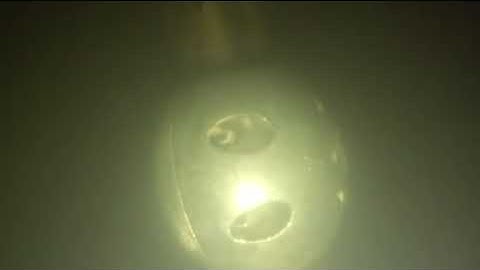 12 5 25 Rogue ZI ZP