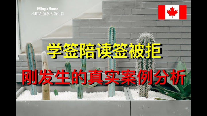 学签陪读签被拒，刚发生的真实案例分析！ - 天天要闻