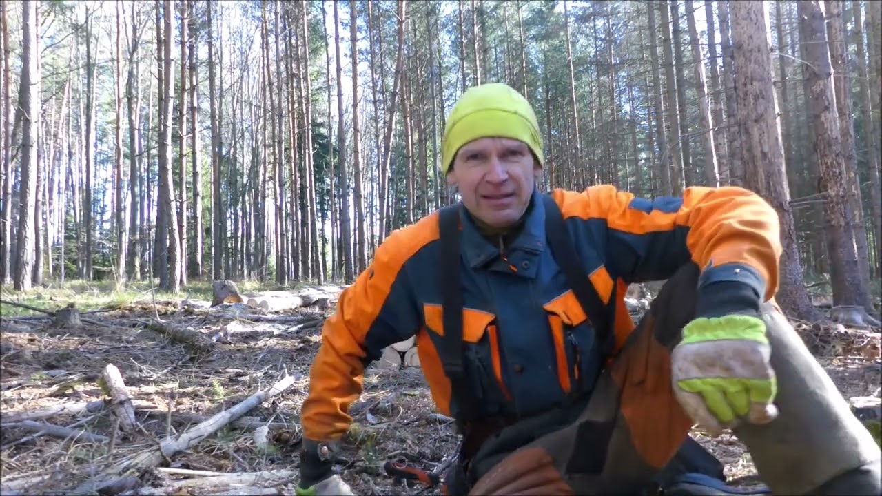 Forest job / Těžba dřeva , slabý porost - Echo 501 SX 