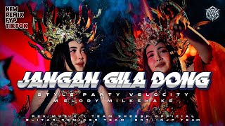 DJ JANGAN GILA DONG STYLE PARTY & VELOCITY ‼️ FYP TIK TOK ‼️RZK  ER 96 MEDIA TEAM SHESS 