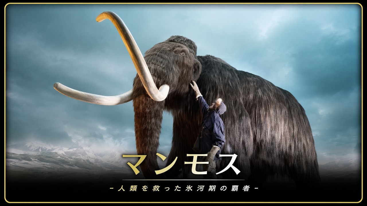 新品　 Maximus Mammoth マンモス Will the Extinct Mammoth Return? The Truth About the 2028 Plan