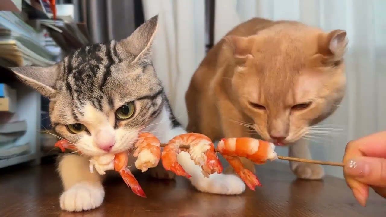 Among the thirty-six stratagems running is the best strategy 