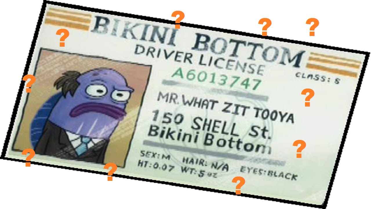 Not Mr. What Zit Tooya YouTube