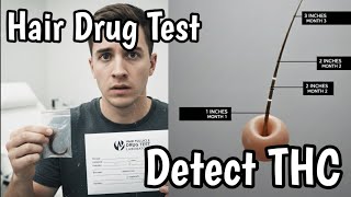 Details How to Pass ETG Urine & Hair Alcohol Test | Guide