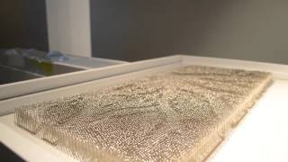 Emergence of Landscape- Pin Screen