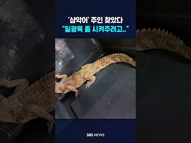 '악어 주인' 찾았는데 하는 말이.. #shorts