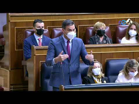 Pedro Sánchez asegura