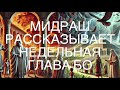 Мидраш рассказывает Недельная глава Бо