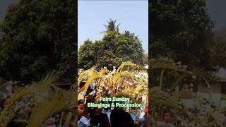 #holyweek#palmsunday#catholicchurch#catholicmass#catholicfaith#christianshorts#jesuschrist#holymass🌿