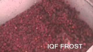 OctoFrost™ Frozen IQF Berries: Strawberries