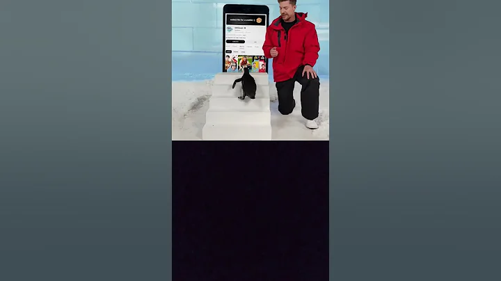 Can Mr beast teach a penguin to subscribe?