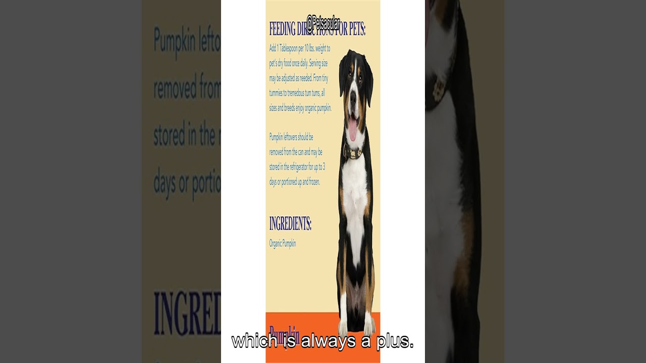 Обзор органического тыквенного корма Nummy Tum Tum: является ли он лучшим средством для улучшения...