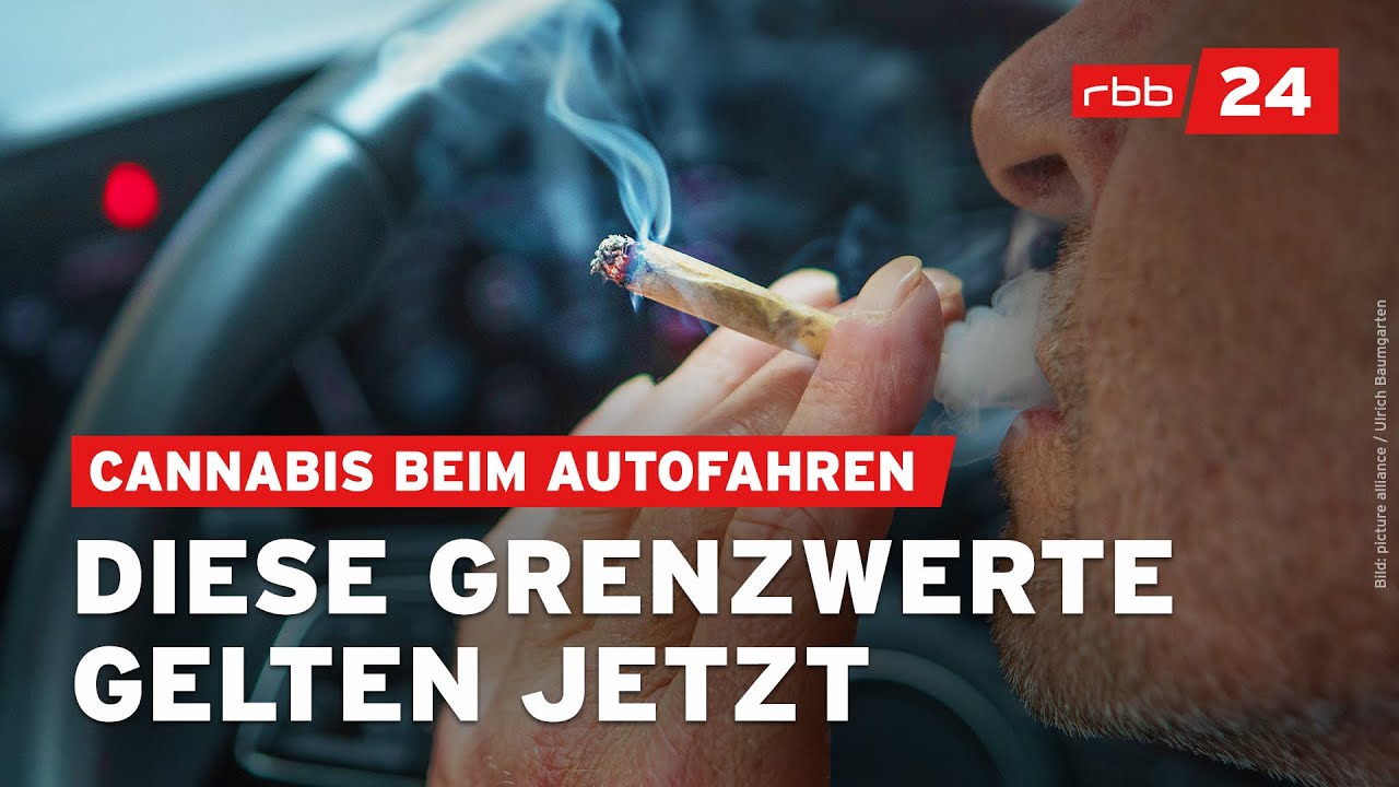 Neue Cannabis-Grenzwerte am Steuer: So hoch sind die Strafen