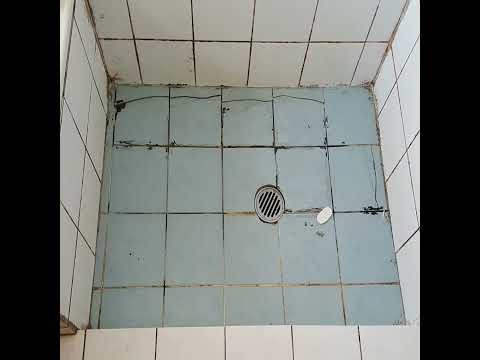 Is My Bathroom Shower Grout Leaking?