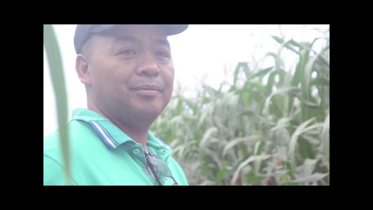 MANa: Tamang Proseso ng Pag-prodyus ng Mais | Episode 8 Season 1