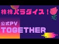 株株パラダイス！公式PV [TOGETHER]。以前、世界的 外資系 金融機関４社に勤務し、統括部長を経験した 株パラ がお送りします！！！