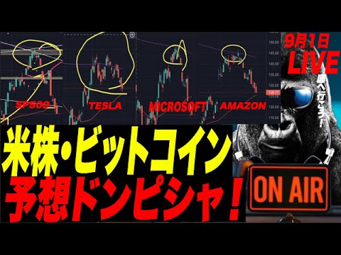 【ゴリ予想ドンピシャ的中！】米株・ビットコイン急落(絶好の高確率ショート場)が現実になるゥ〜！w これからも落ちシロ〜ぉ！！