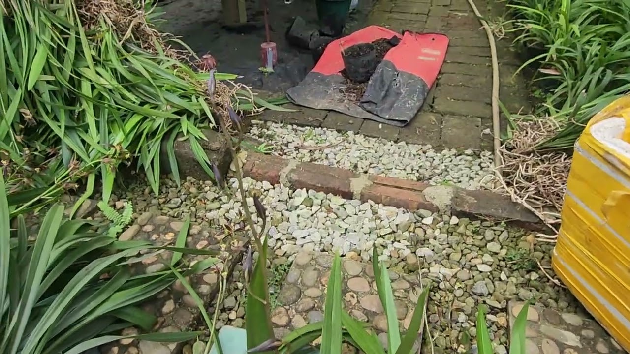 RA CHẬU CHIA GIỐNG CÙNG CÁC CỤ ;0396654888