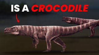 Why Is Everything Evolving Into Crocodiles?