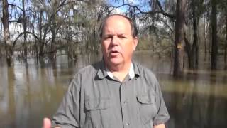 Lake Seminole Flood - 12/27/2015