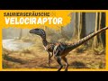 Sauriergeräusche | Velociraptor 🦖