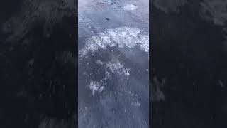 oH LoOk a FroZEn ICe! mes MoS MeNDe SheHs