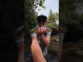 I think we’ve all got that one daydream. 🤩#catchandrelease #fishing #trout #flyfishing #fishinglife