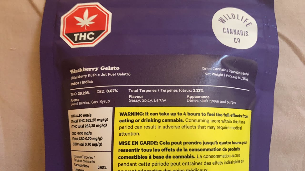 Blackberry Gelato Kush x Jet Fuel Gelato 26.23 THC Indica 😋 YouTube