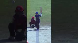 Great Review & Gets The Big Wicket #LevelPlayingField #AMvSW #SportsCentral #PCB #Shorts MI2A