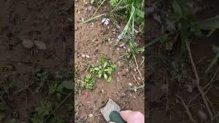 IMG 9469