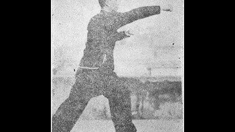 崩捶 Part 28: Grab-Pull-Take Preceding [Praying Mantis Kung Fu 螳螂拳]