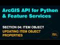 Update a Feature Service Item Homepage Properties in ArcGIS Online with the ArcGIS API for Python