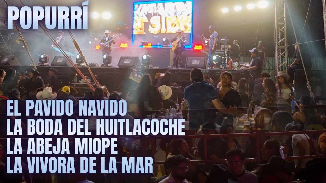 El Pavido Navido / La Boda Del Huitlacoche / La Abeja Miope / La Vivora De La Mar, en vivo.