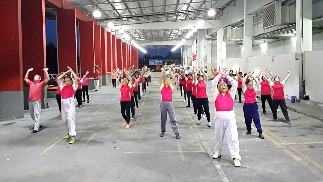 Taiji Qigong Shibashi ~ Set 1