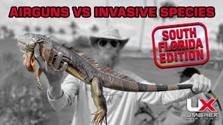 Iguana & Invasive Fish Airgunning in Florida with Komplete & FishR Airguns