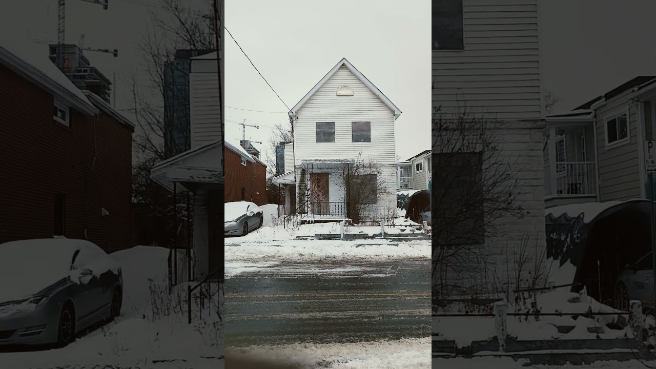 NOW TV! Another $1 Home improvement project for my dog boarding business! Jan 11th/26!